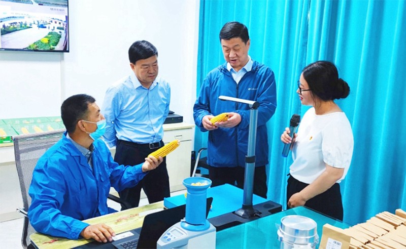 甘肅省地方金融監(jiān)管局、甘肅證監(jiān)局領導蒞臨敦煌種業(yè)調(diào)研指導